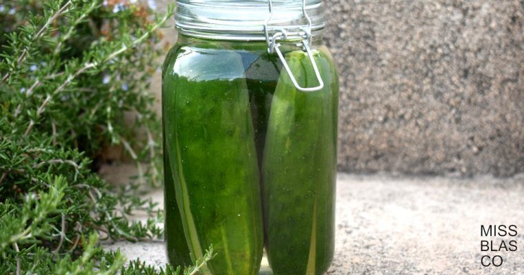 pepinos fermentados