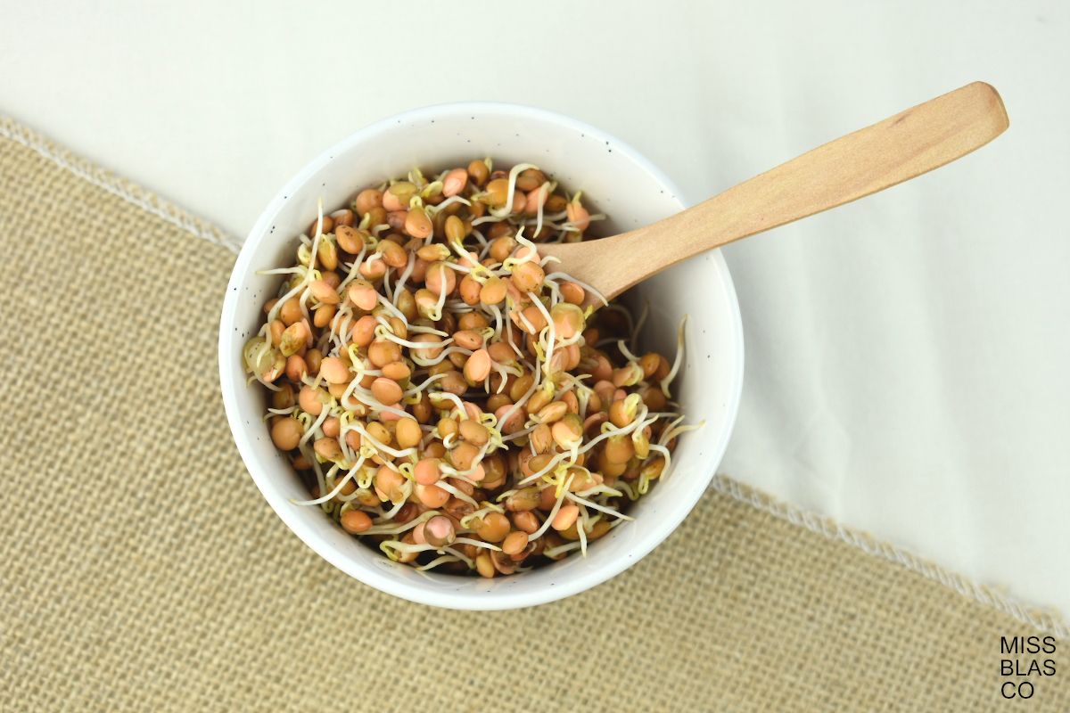 sprouted lentils in a bowl