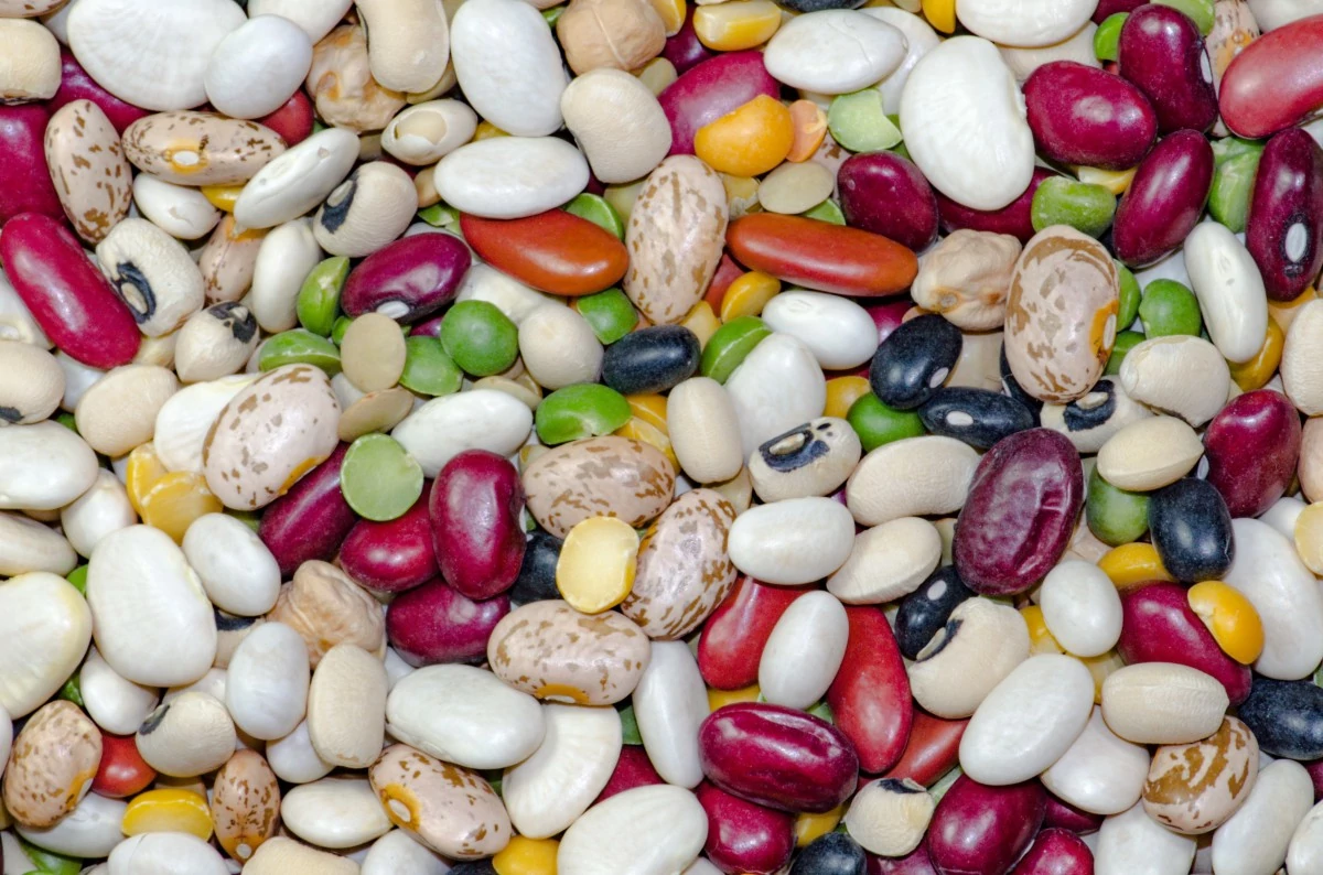 white beans, red beans and peas