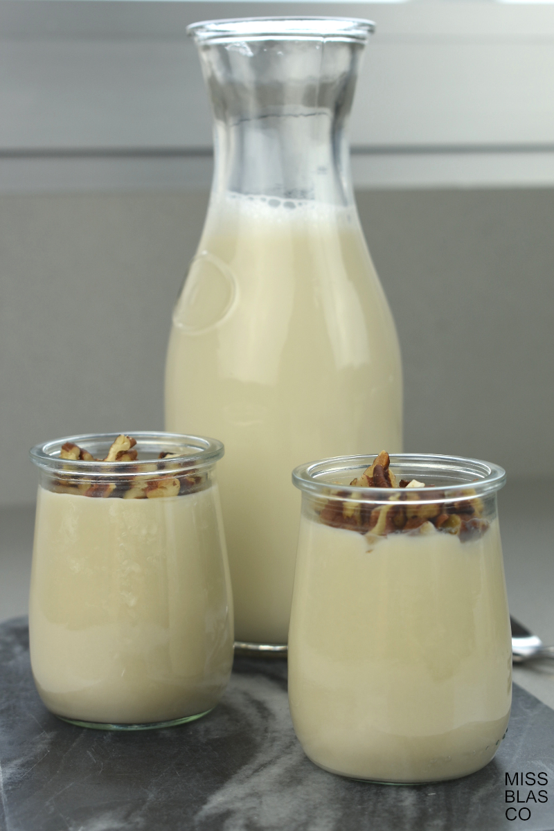 Homemade Unsweetened Soy Yogurt