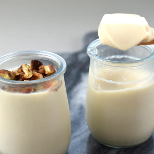 yogur de soja casero
