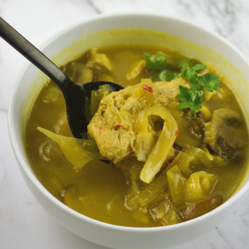sopa picante de pollo con cuchara