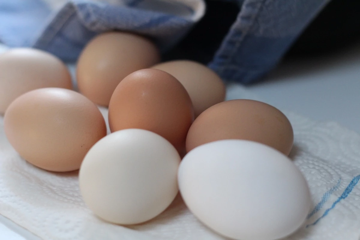 nutrition myths